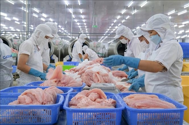 Seafood sector targets US$11.5 billion in exports in 2026